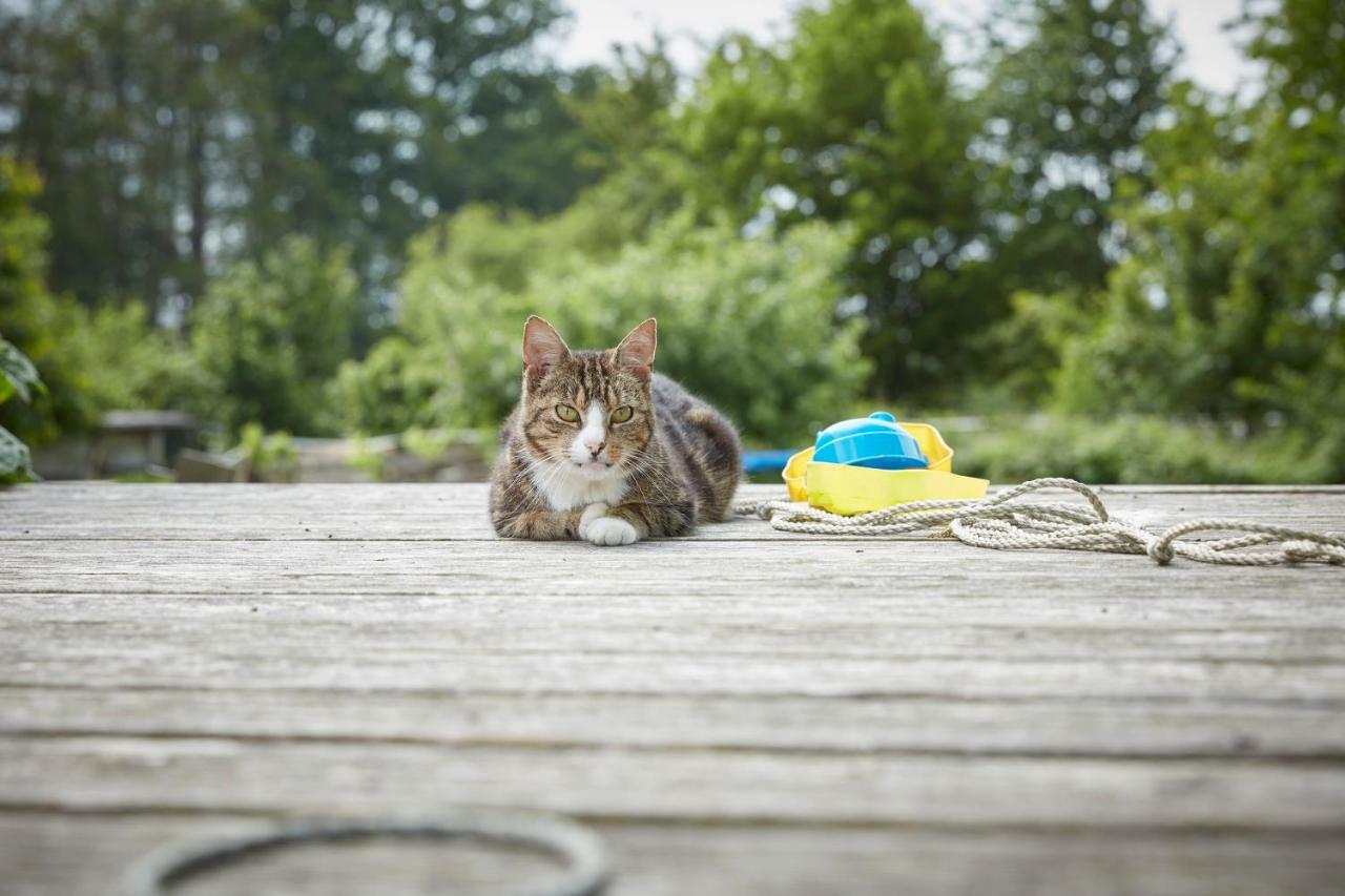 メレReiterhof Zwei Lindenアパートメント エクステリア 写真